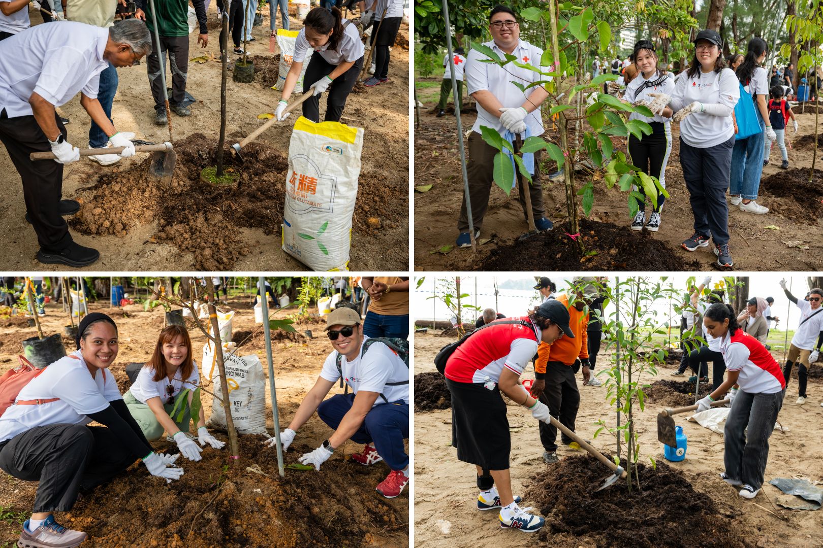 Singapore Red Cross Employee Engagement 2024 4