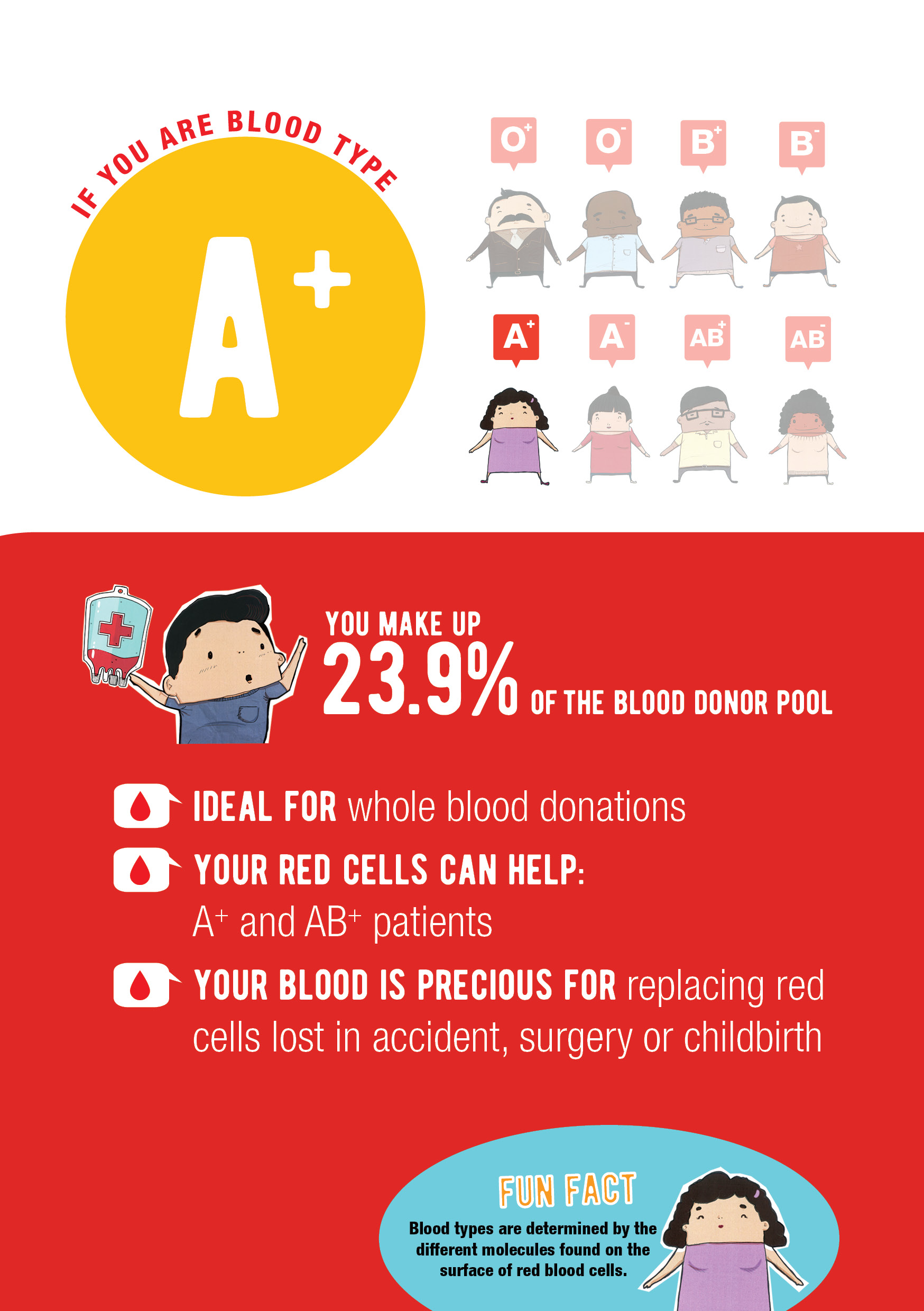 Blood types: What are they and what do they mean?