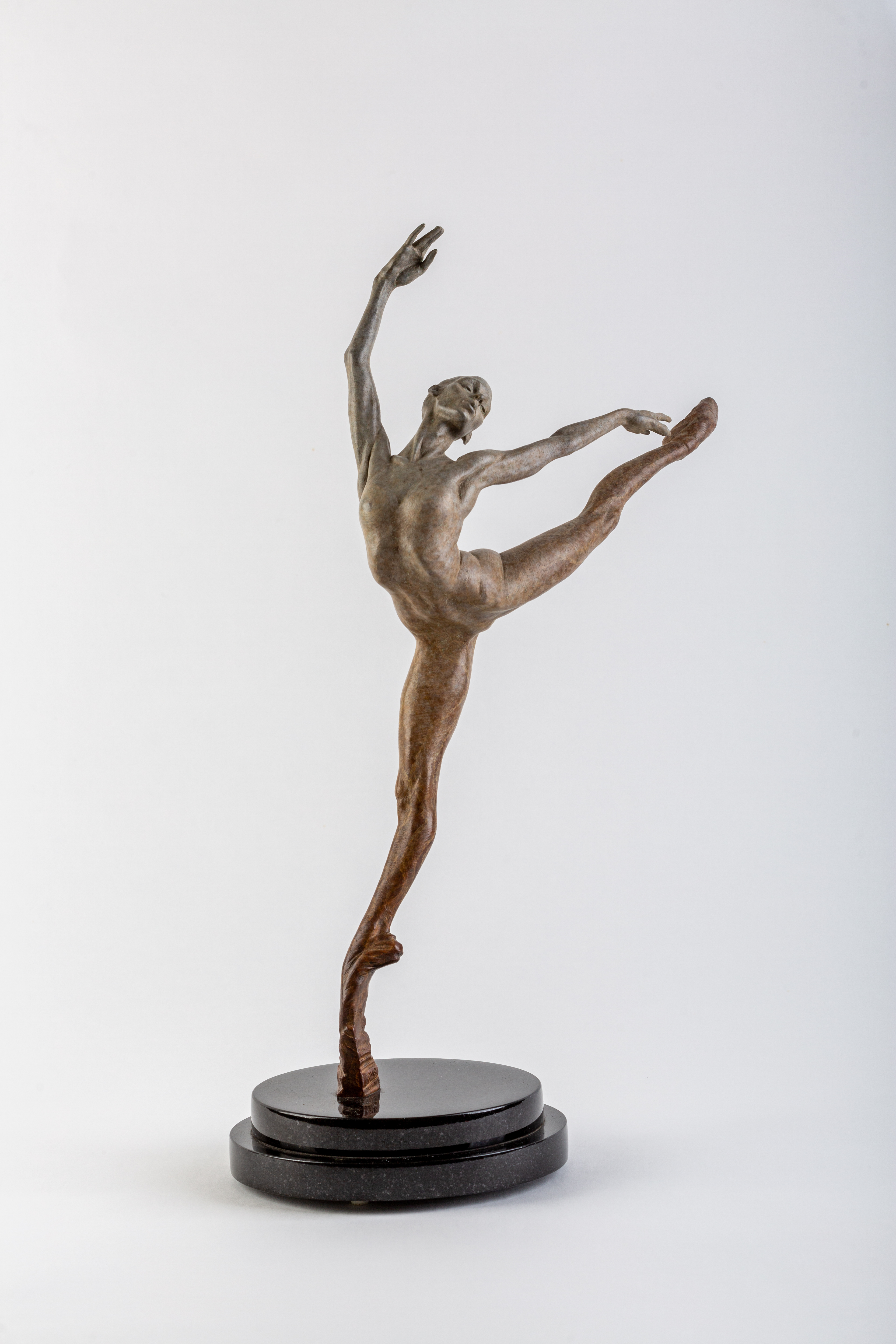 SRC Auction Royal Ballet Sissone Atelier Collection 2014 by MacDonald Richard