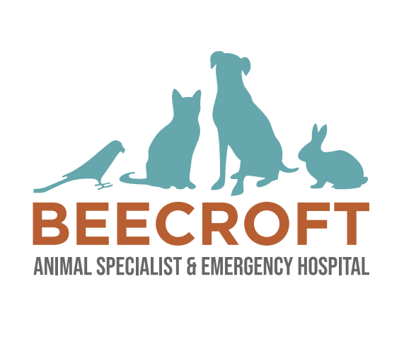 Beecroft Animal Specialist & Emergency Hospital