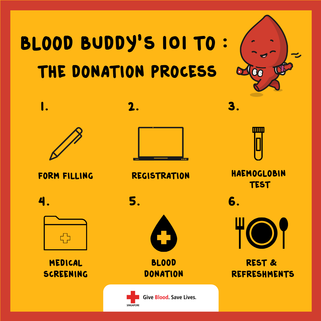 BLOOD BUDDYS 101 TO The Donation Process