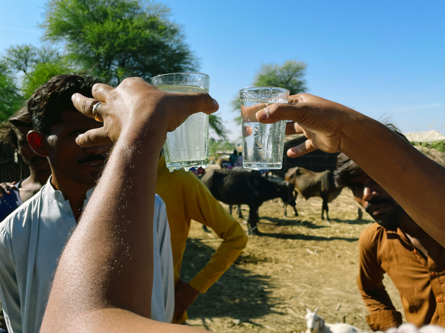 Pakistan_2022_14_Filtered_water_T3.jpg