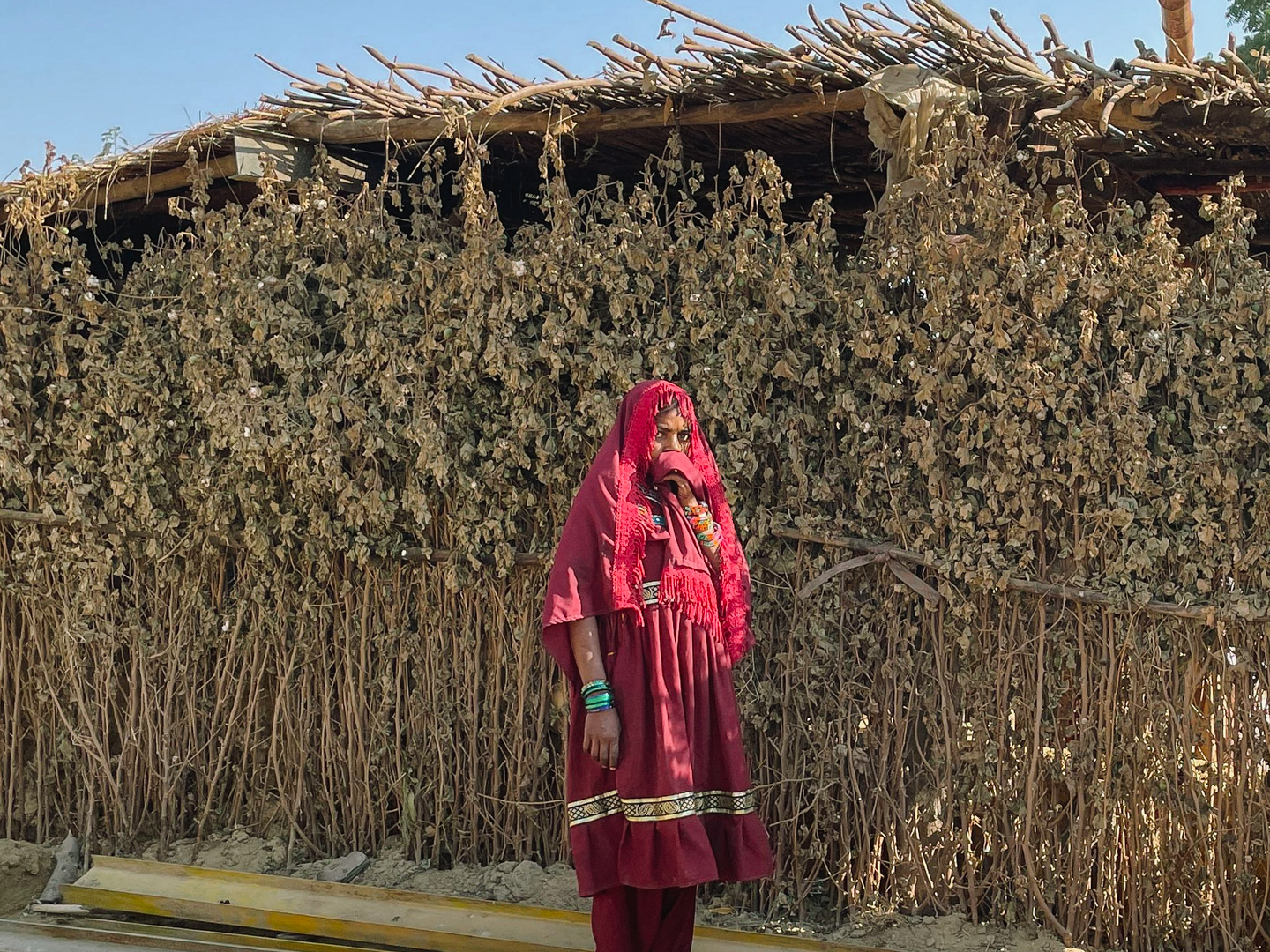 Pakistan_2022_5_Temp_shelter_T3.jpg
